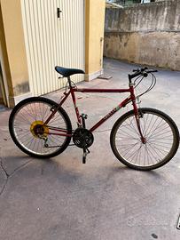 Bicicletta lombardo 26