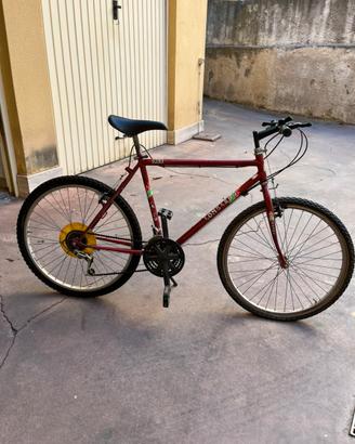 Bicicletta lombardo 26