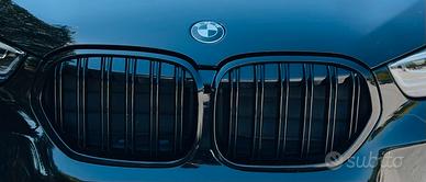 Griglia Bmw X1 (f48lci)