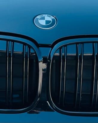 Griglia Bmw X1 (f48lci)