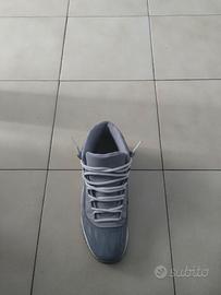 Jordan 11 grey