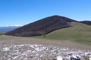 Vari appezzamenti di terreno