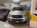 mercedes-benz-ml-420-cdi-offroad-pro