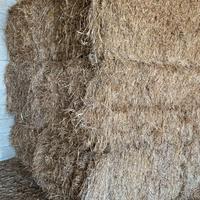 Balloni prismatici di fieno foraggio avena loietto