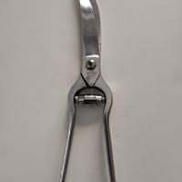 Scavino per frutta e trinciapollo