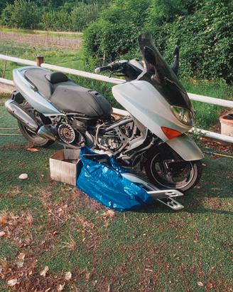 t max 2002