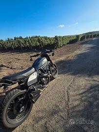 Ducati Scrambler