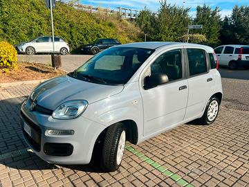 fiat panda 1.2 Easy benzina 2019 