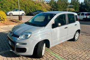 fiat panda 1.2 Easy benzina 2019 