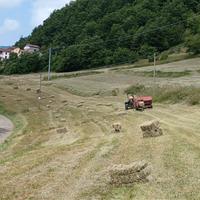 Ballette di fieno primo taglio 