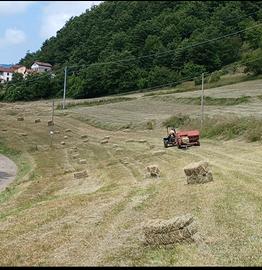 Ballette di fieno primo taglio 