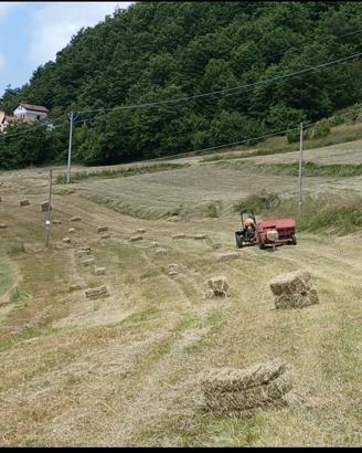 Ballette di fieno primo taglio 