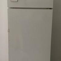Frigorifero con congelatore REX Electrolux