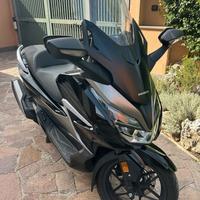 Honda Forza ADV 350 - Agosto 2021