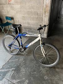 Mountain bike frejus