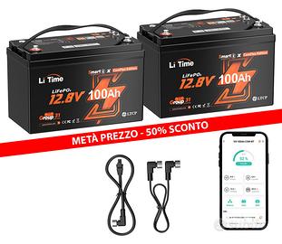 2 Batterie al Litio 12V 100Ah LiTime ComFlex CAN