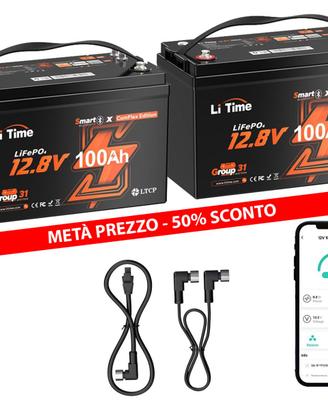 2 Batterie al Litio 12V 100Ah LiTime ComFlex CAN