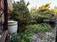 Immagine 28