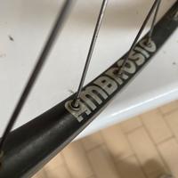 Due ruote posteriori mozzi campagnolo Record