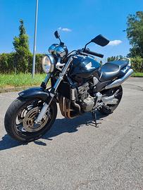 Hornet 900