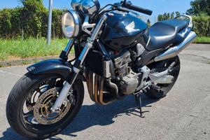 Hornet 900