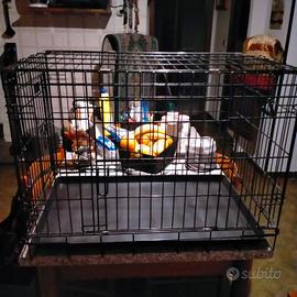 Gabbia x coniglio o piccoli animali