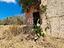 Immagine 25
