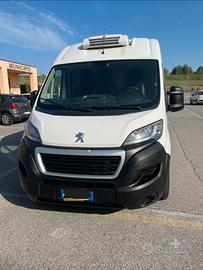 BOXER Peugeot Frigo