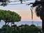 Immagine 14