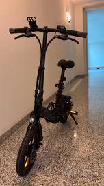 Bicicletta elettrica