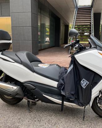Honda forza 300