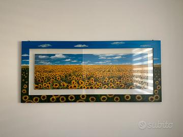 Quadro - Campo di girasole