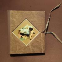 custodia porta cd in pelle