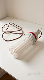 Lampada Coltivazione CFL Pure Light 250w