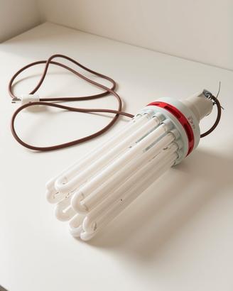 Lampada Coltivazione CFL Pure Light 250w