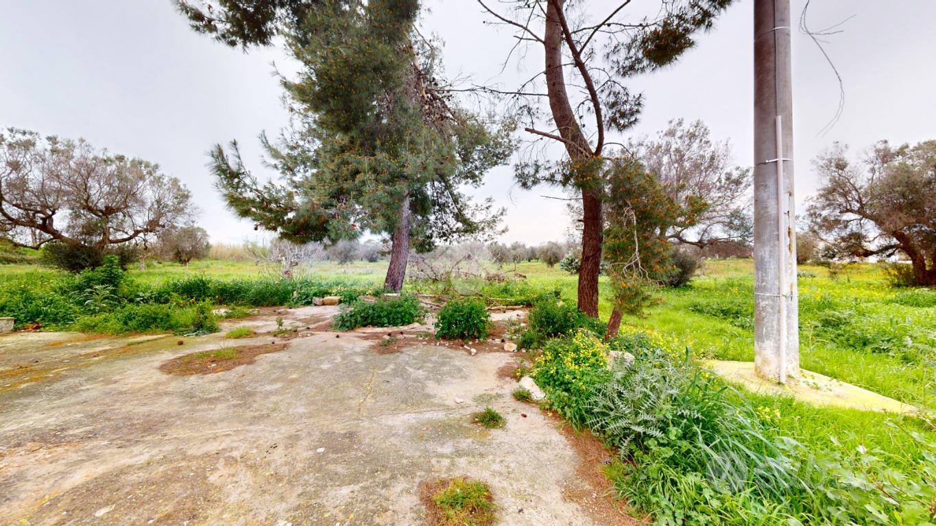 House in Carovigno, Pizzofalcone - Altro