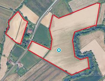 Terreno agricolo in Friuli