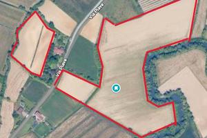 Terreno agricolo in Friuli