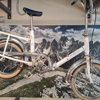 graziella 12 pollici