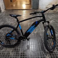 Bici elletrica