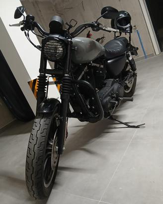 Harley davidson iron 883