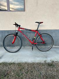 Bicicletta Gary Fisher Ziggurat(MT)