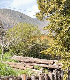 Pali di castagno 5 m