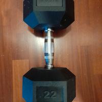 Dumbell 22 kg Sidea