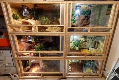 Terrario 