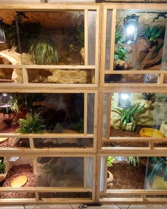 Terrario 