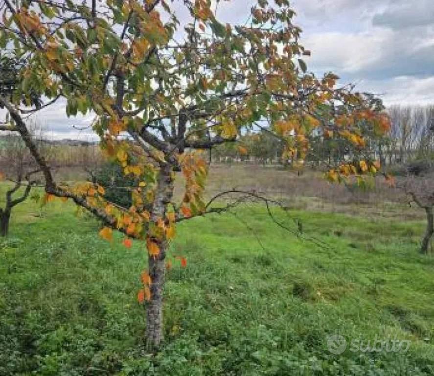 Immobile in asta di 7910 m² a Montesilvano - Vista 2