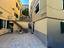 Immagine 24
