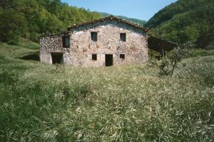 Terreno con annesso fabbricato agro-pastorale