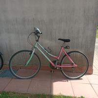 bicicletta sportiva  da donna